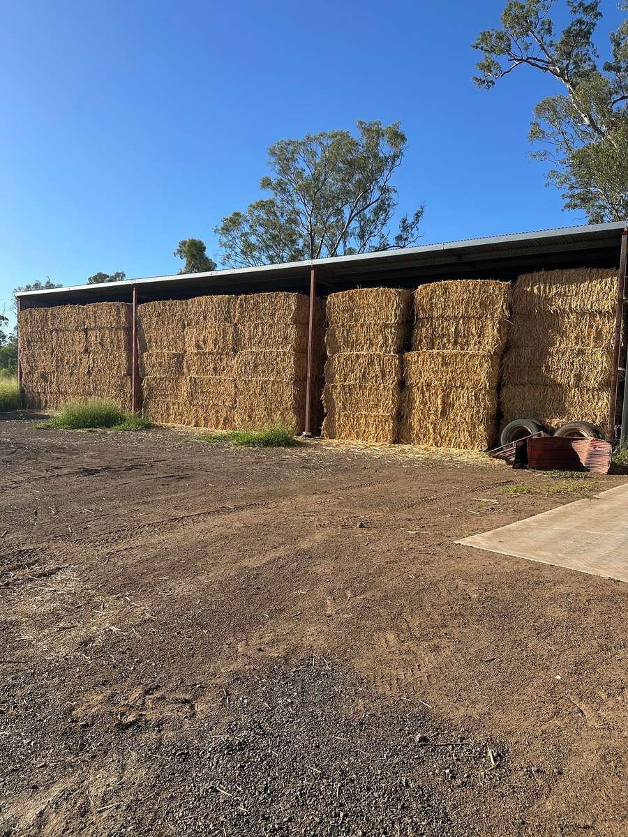 Batch 4990788000216892001 Image