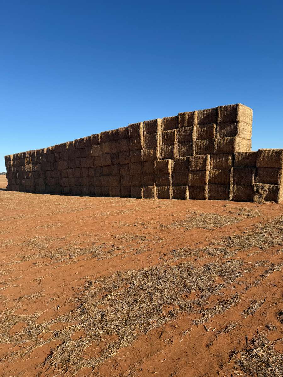 Batch 4990788000215057061 Image