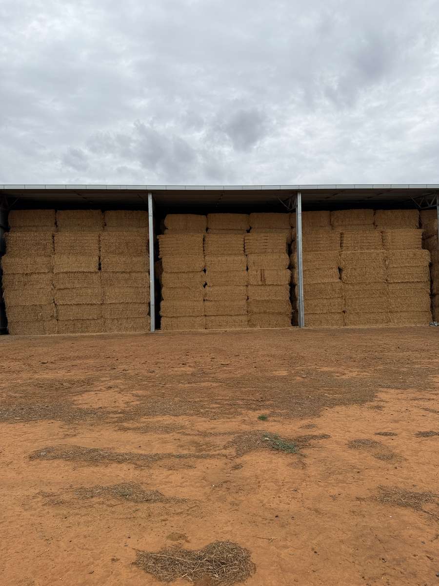 Batch 4990788000217698007 Image