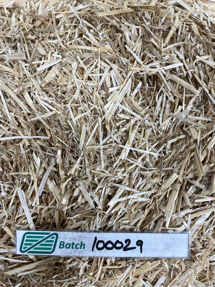 Batch 4990788000217699023 Image