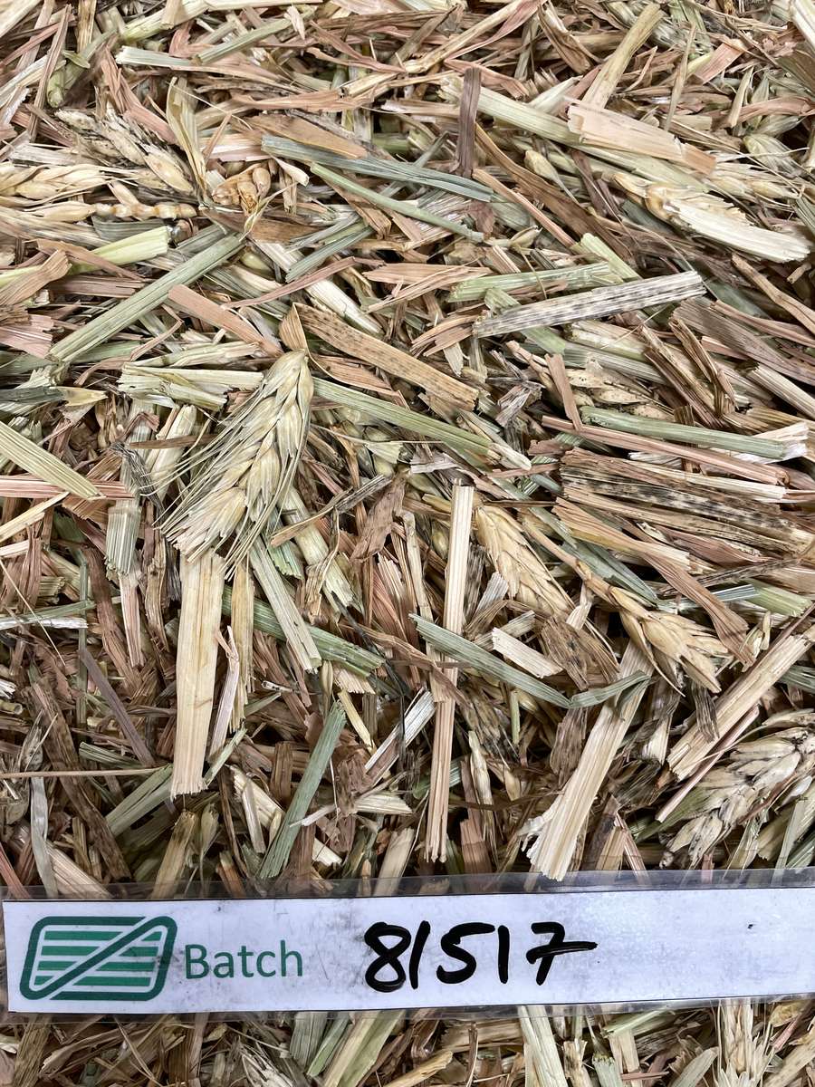 Batch 4990788000215283001 Image