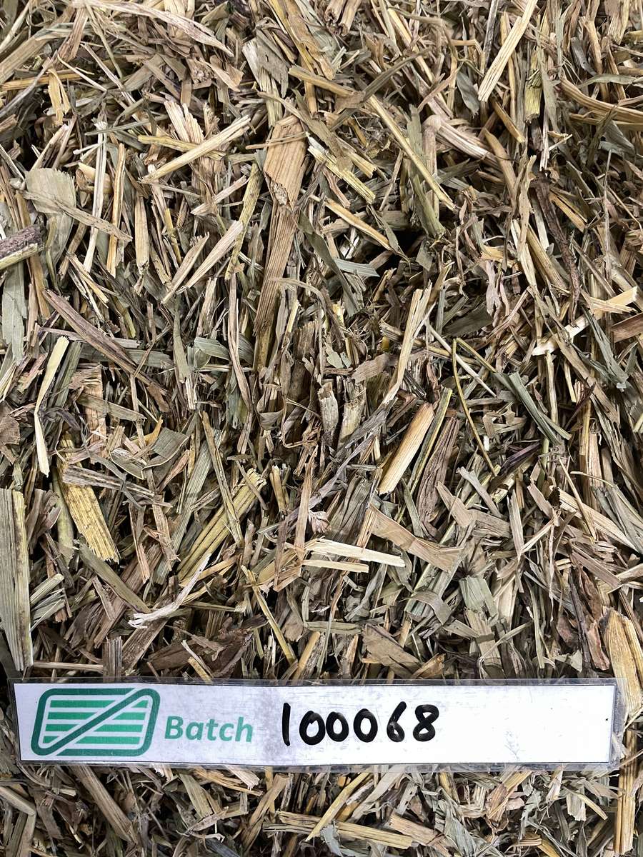 Batch 4990788000220304001 Image