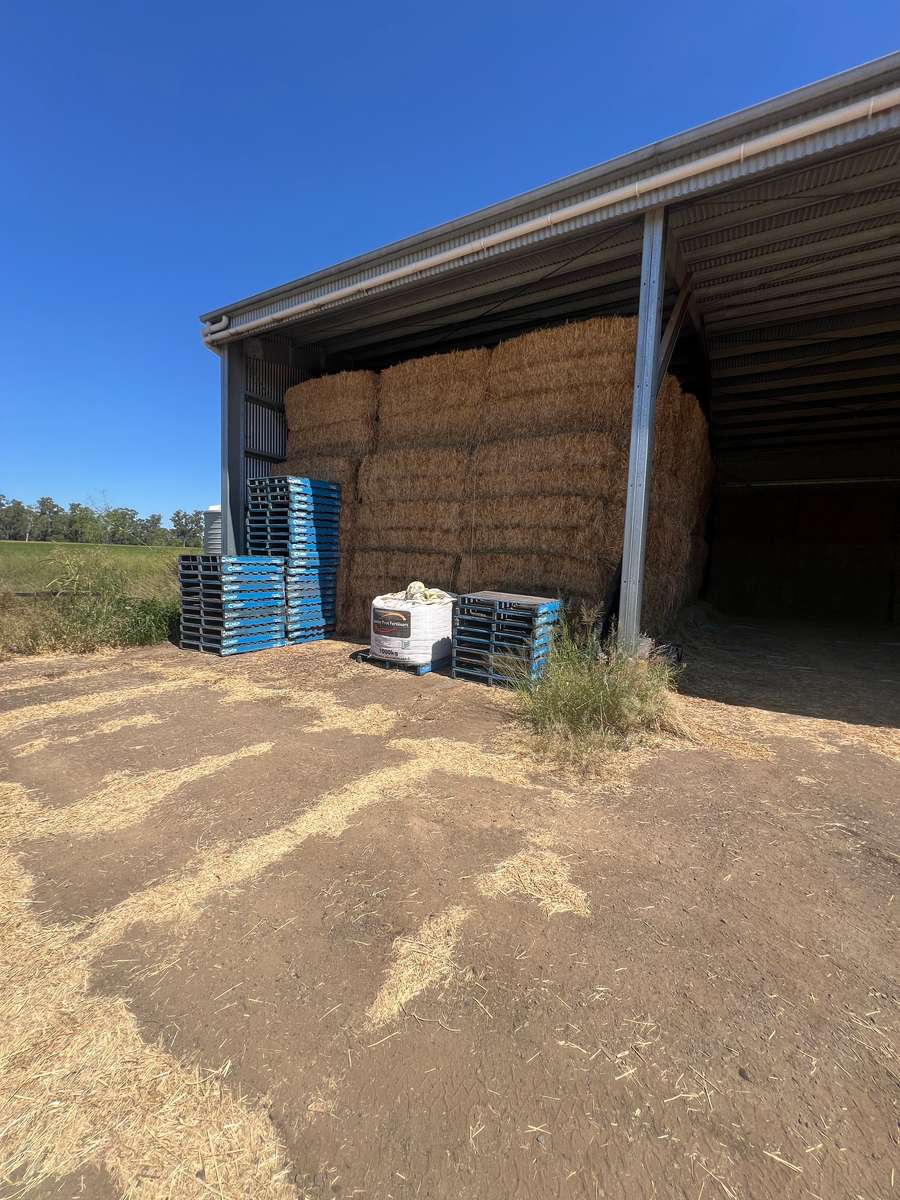 Batch 4990788000220341001 Image