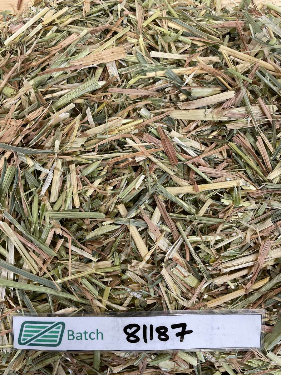 Batch 4990788000205179963 Image