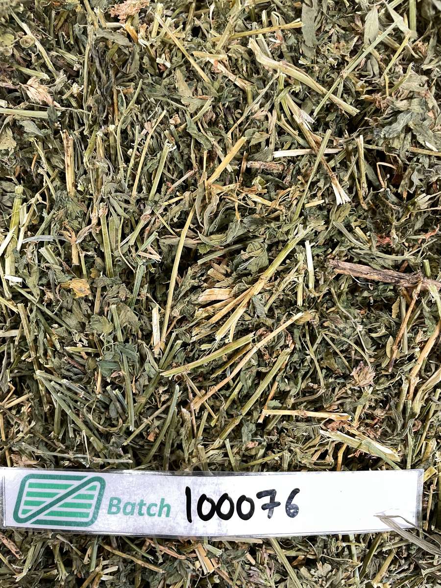 Batch 4990788000220469001 Image