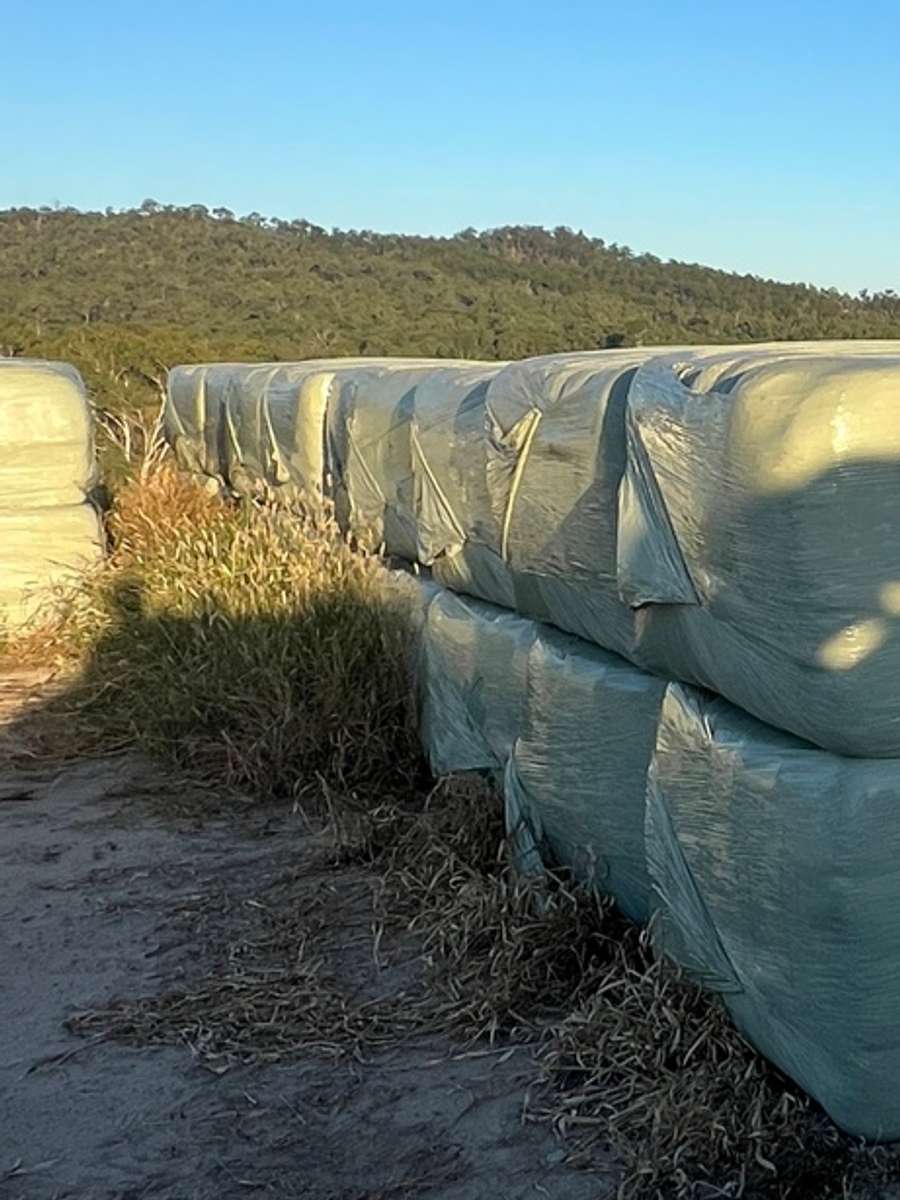 Batch 4990788000220271017 Image