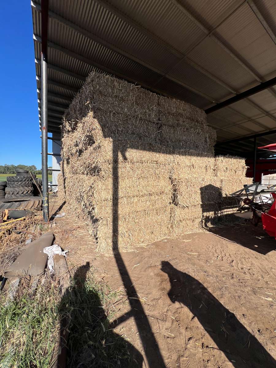 Batch 4990788000220337001 Image