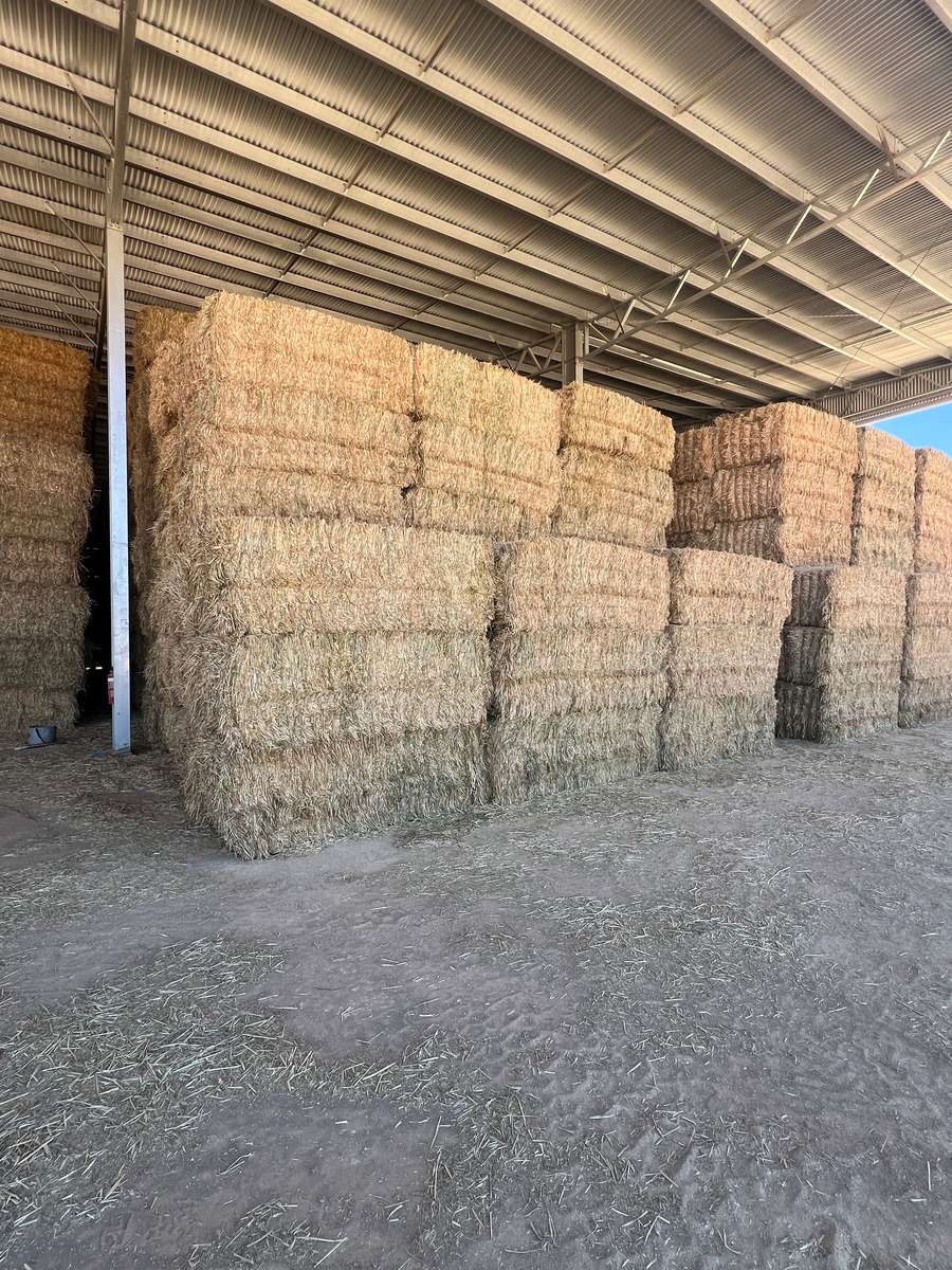 Batch 4990788000205179963 Image