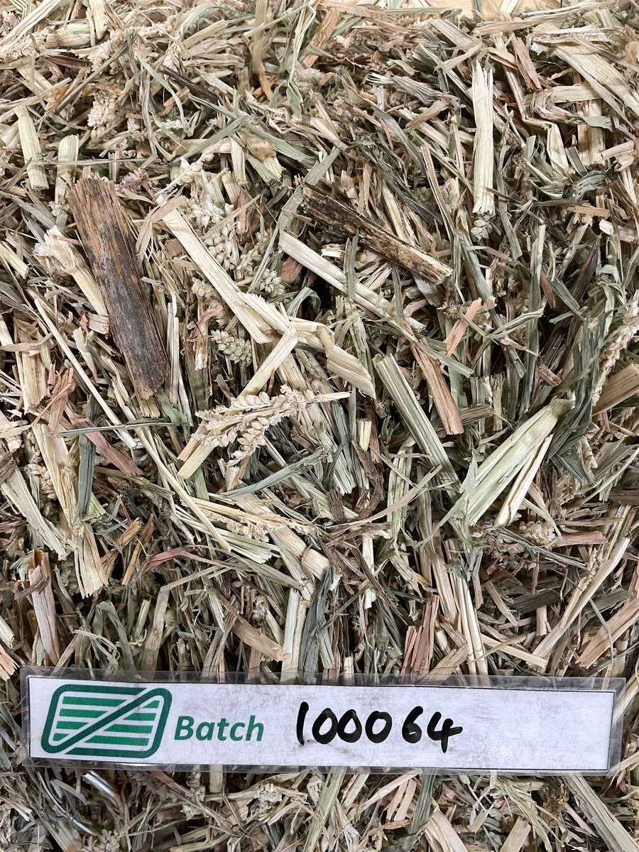 Batch 4990788000220171001 Image