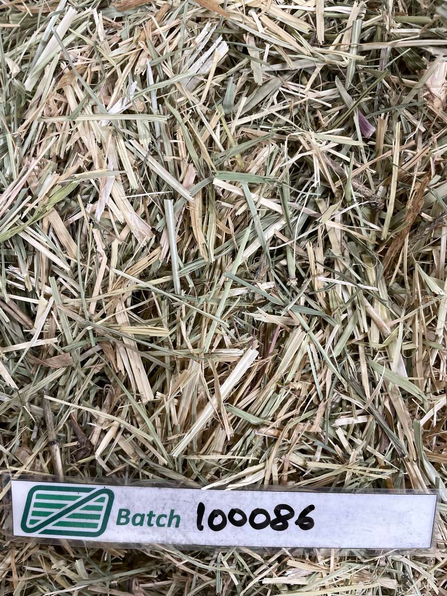 Batch 4990788000220631001 Image