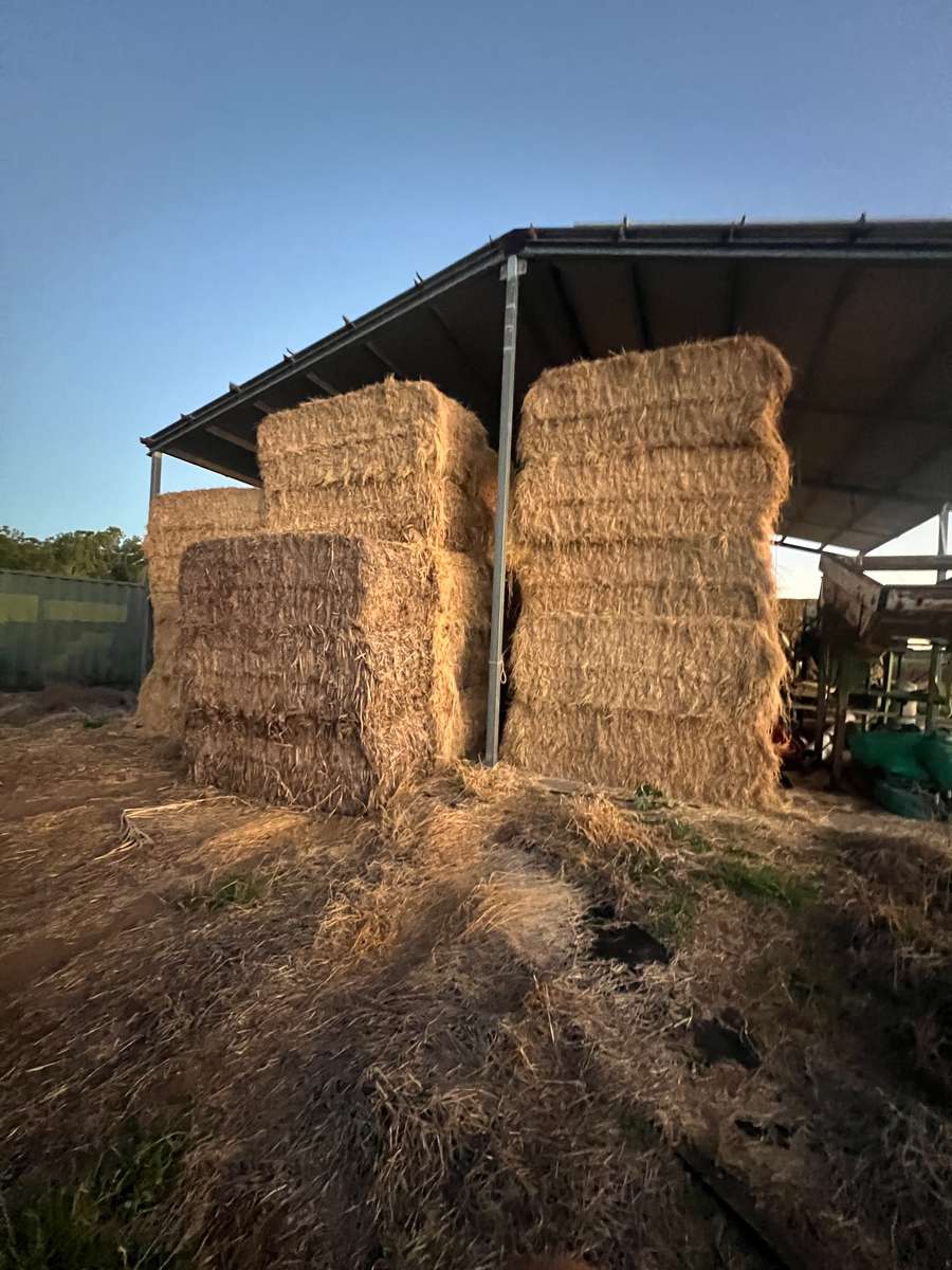 Batch 4990788000220278001 Image