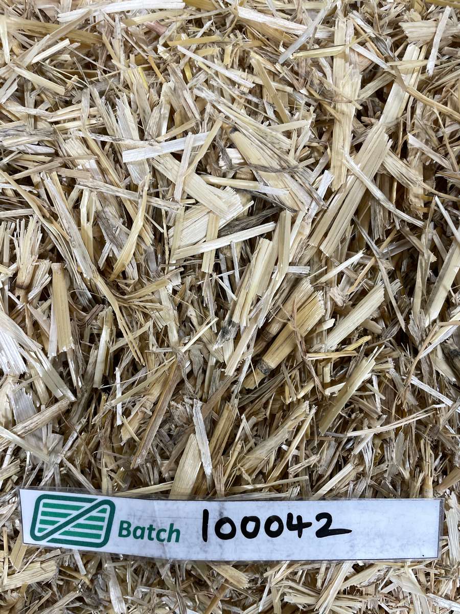 Batch 4990788000218365003 Image