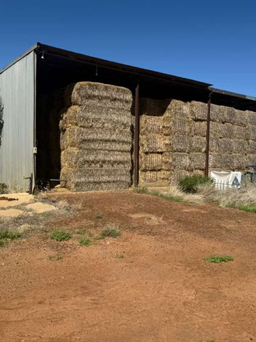 Batch 4990788000174550010 Image