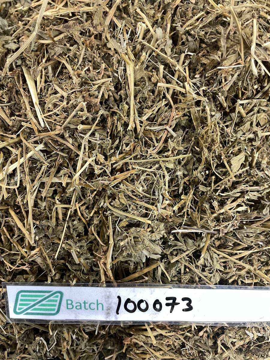 Batch 4990788000220271017 Image