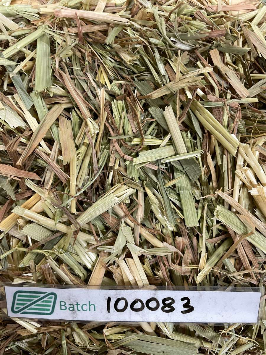 Batch 4990788000220608119 Image