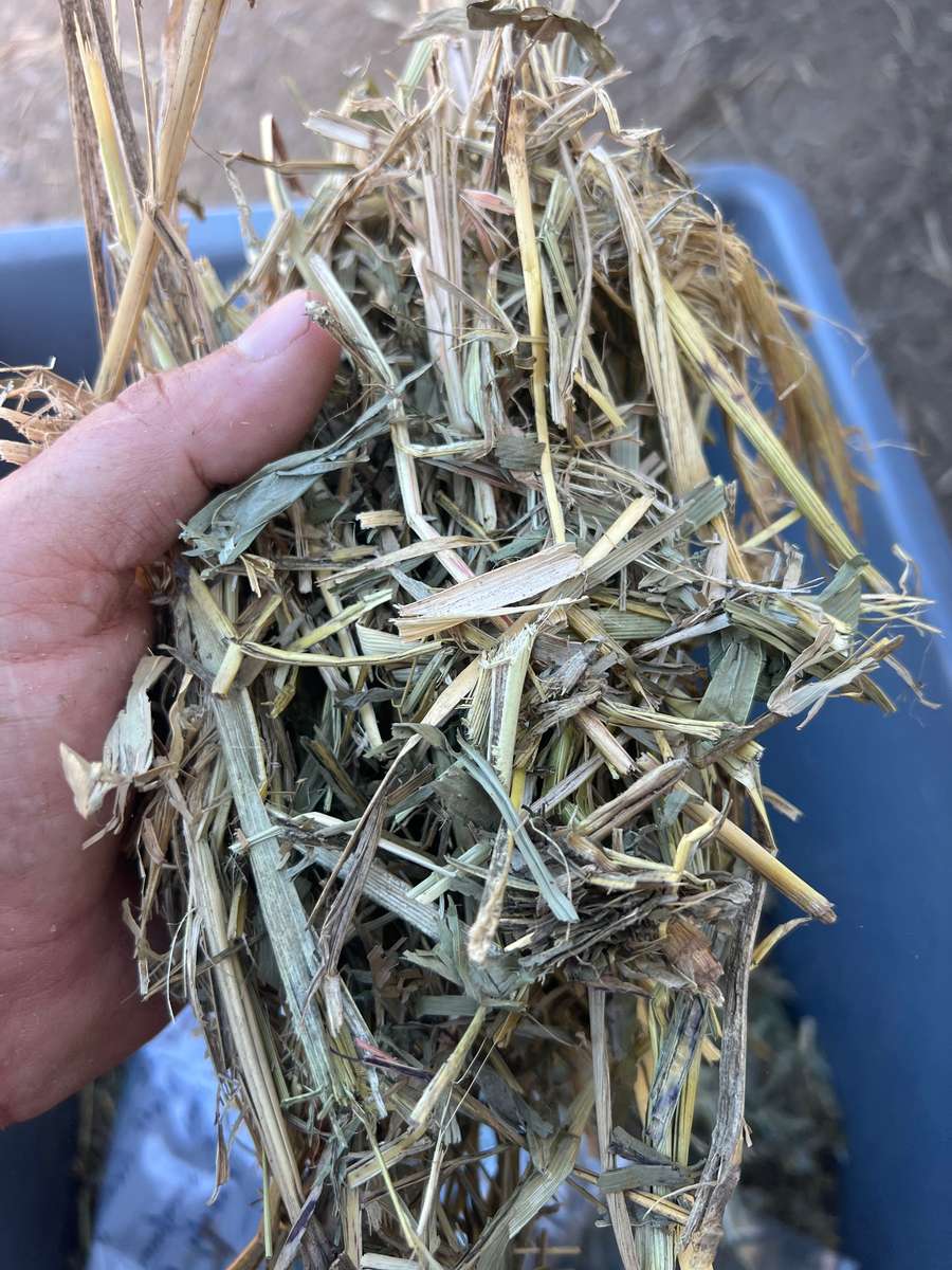 Batch 4990788000220304001 Image