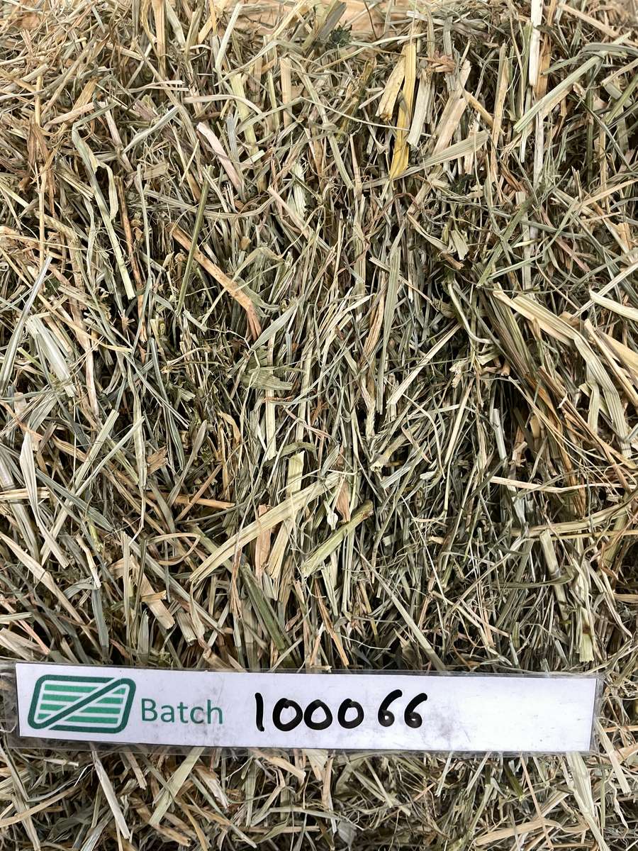 Batch 4990788000220278001 Image