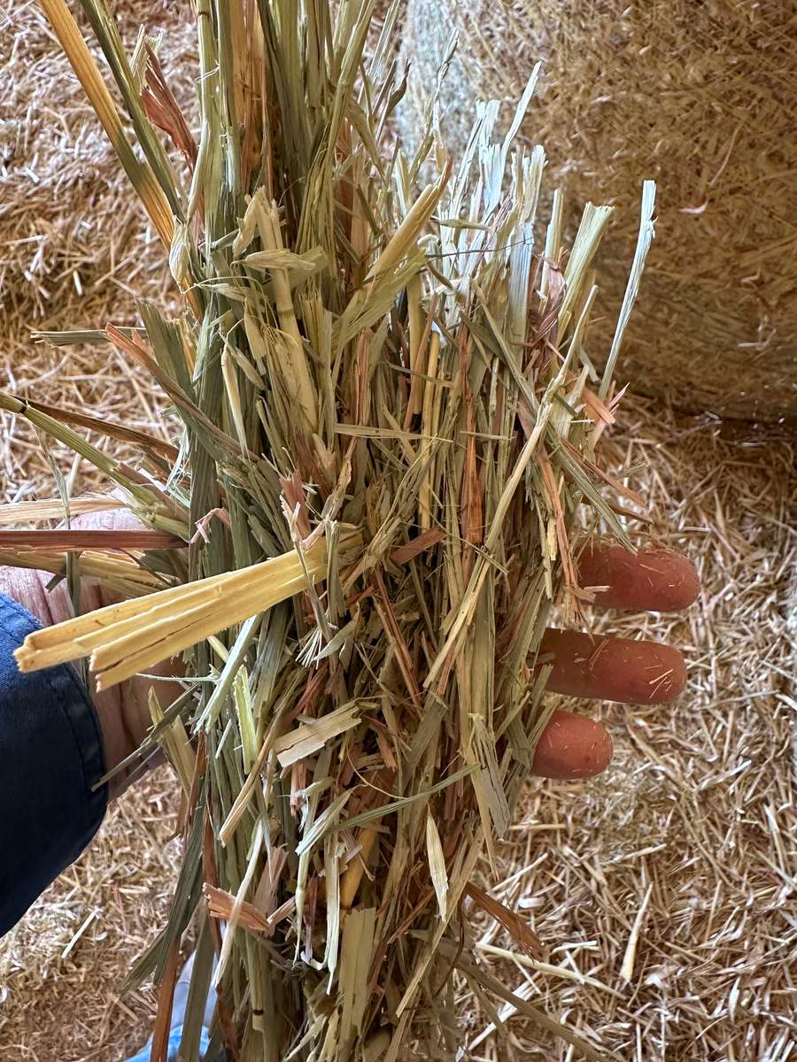 Batch 4990788000220608119 Image