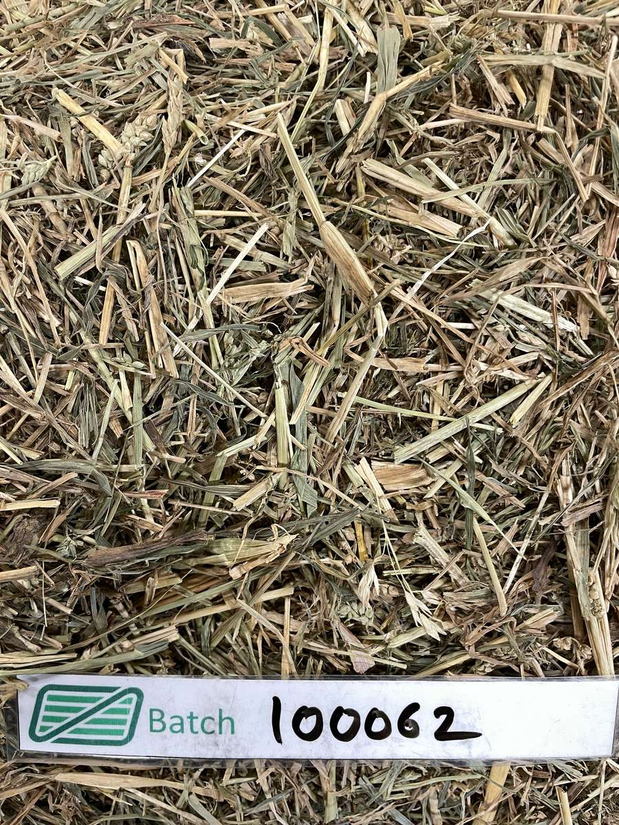 Batch 4990788000220026065 Image