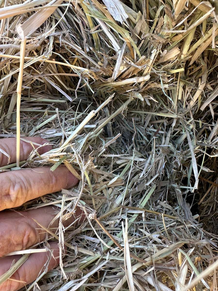 Batch 4990788000220630001 Image