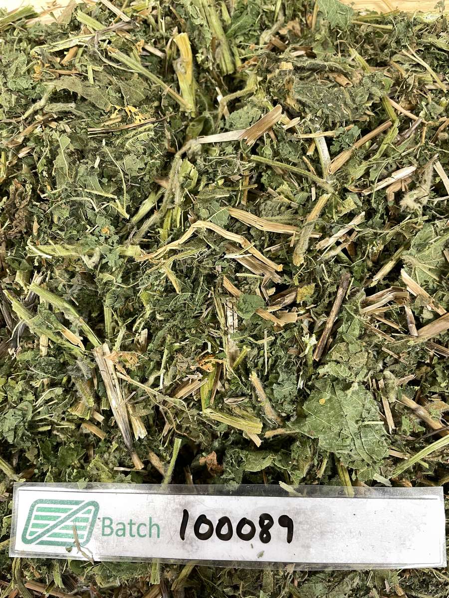 Batch 4990788000221000001 Image