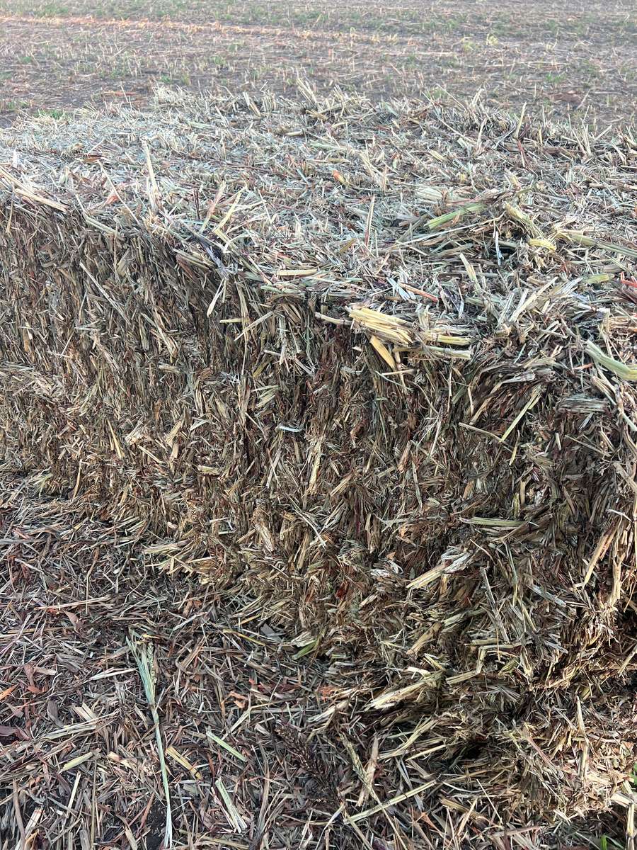 Batch 4990788000220257001 Image