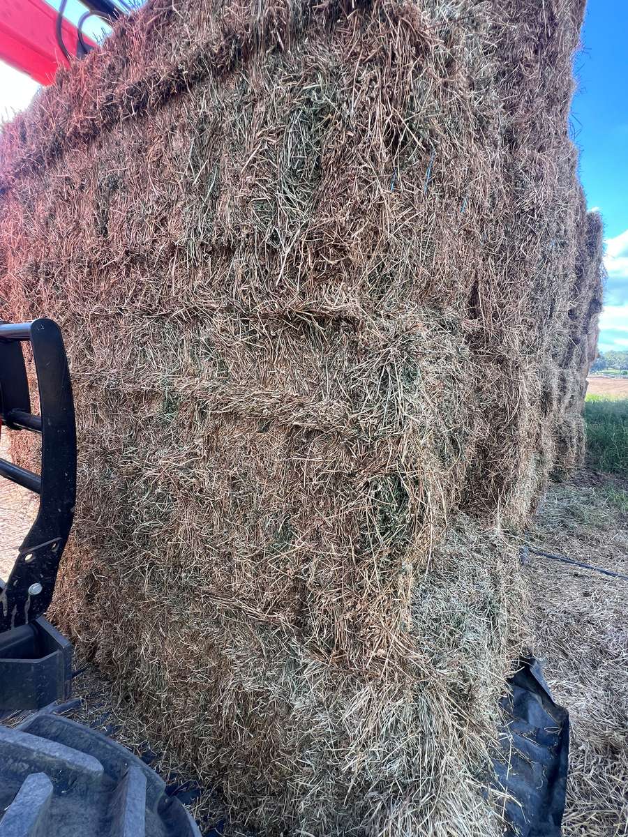 Batch 4990788000219959003 Image