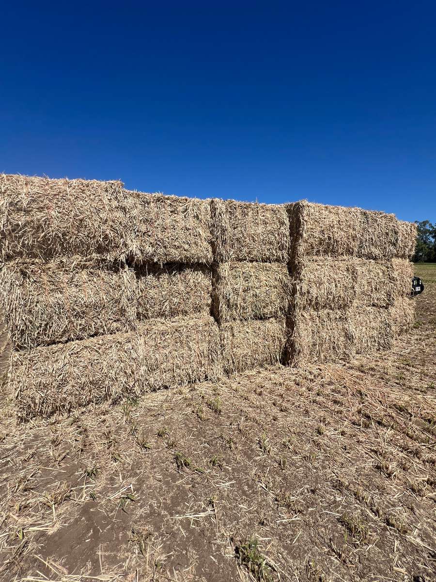 Batch 4990788000220171001 Image