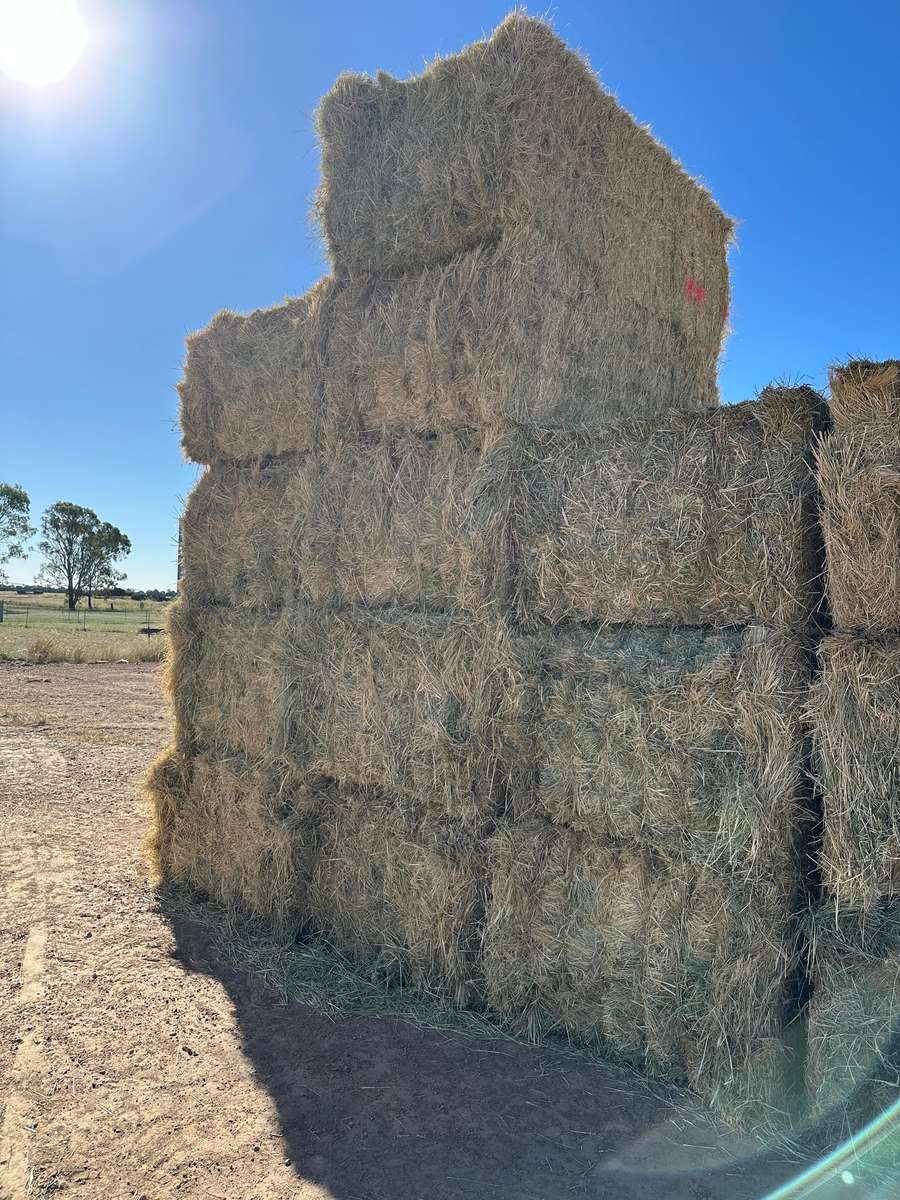 Batch 4990788000220631001 Image