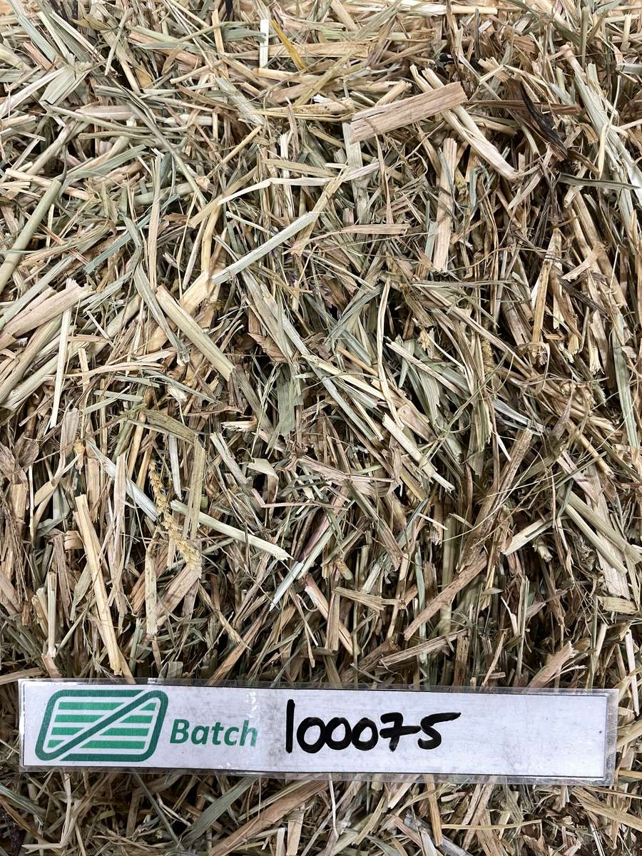 Batch 4990788000220409001 Image