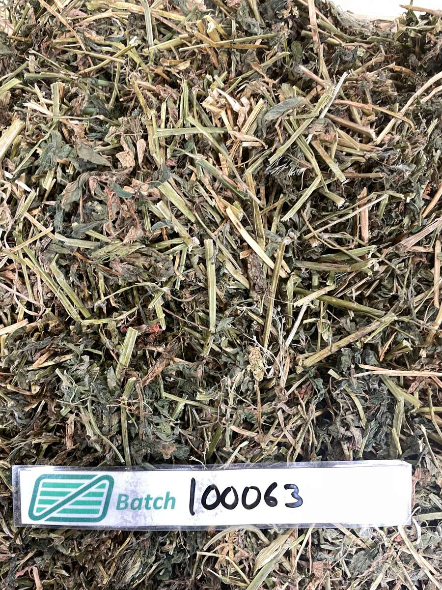 Batch 4990788000220142001 Image