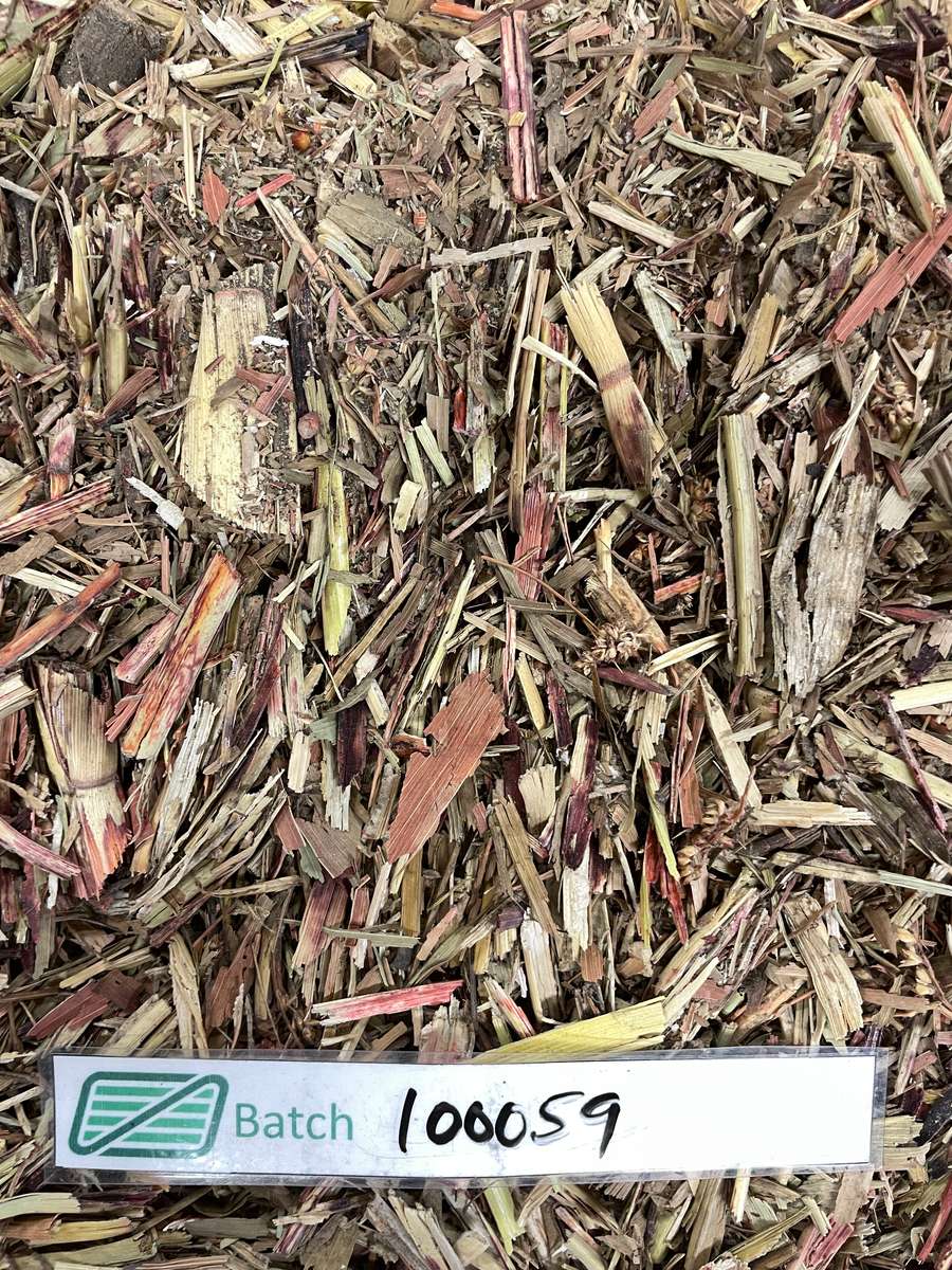 Batch 4990788000220026001 Image