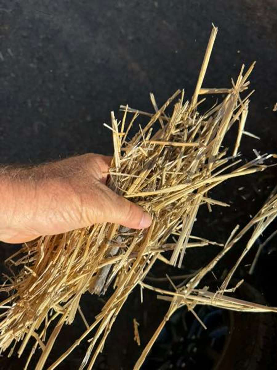 Batch 4990788000176645034 Image