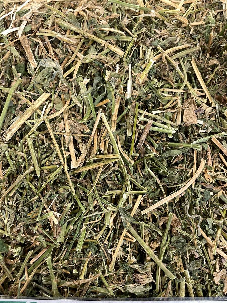 Batch 4990788000219959003 Image