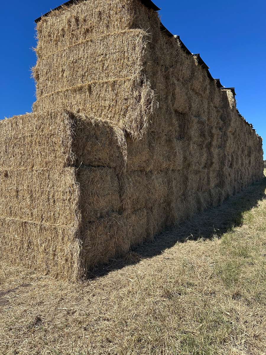 Batch 4990788000220630001 Image