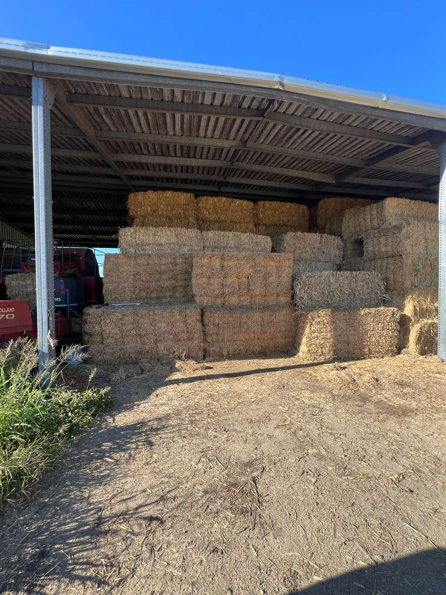 Batch 4990788000220332001 Image