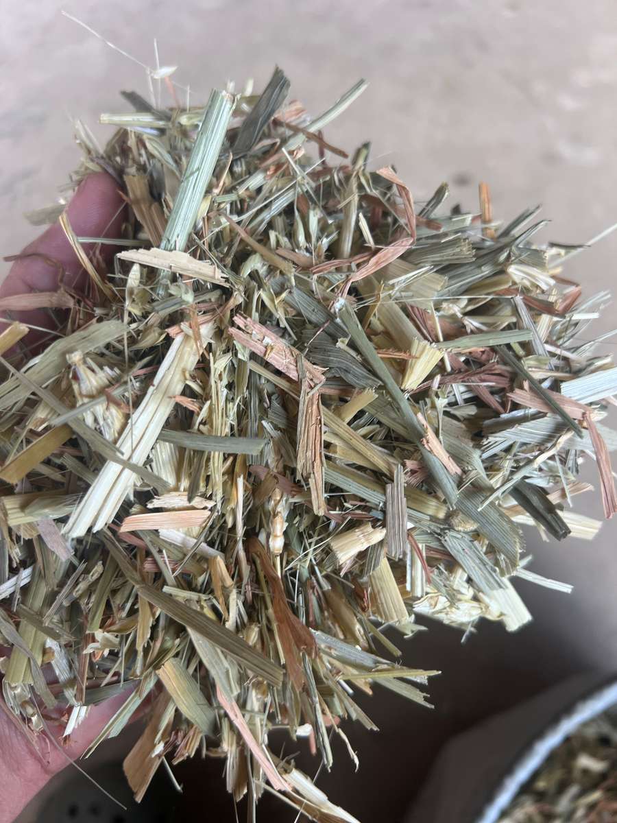 Batch 4990788000220591033 Image