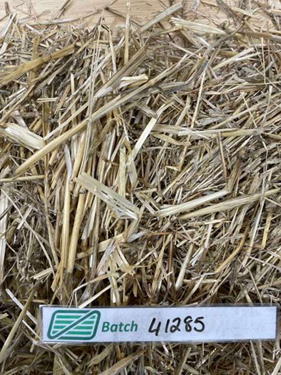 Batch 4990788000176645034 Image