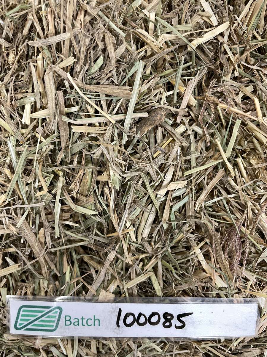 Batch 4990788000220630001 Image