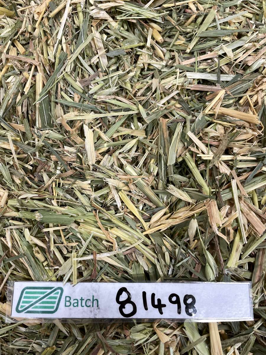 Batch 4990788000215136001 Image