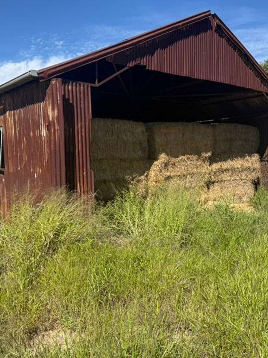 Batch 4990788000174541009 Image