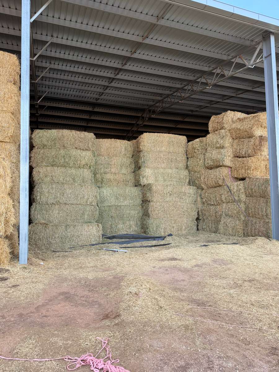 Batch 4990788000215136001 Image