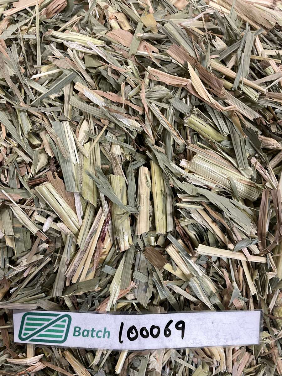 Batch 4990788000220332001 Image