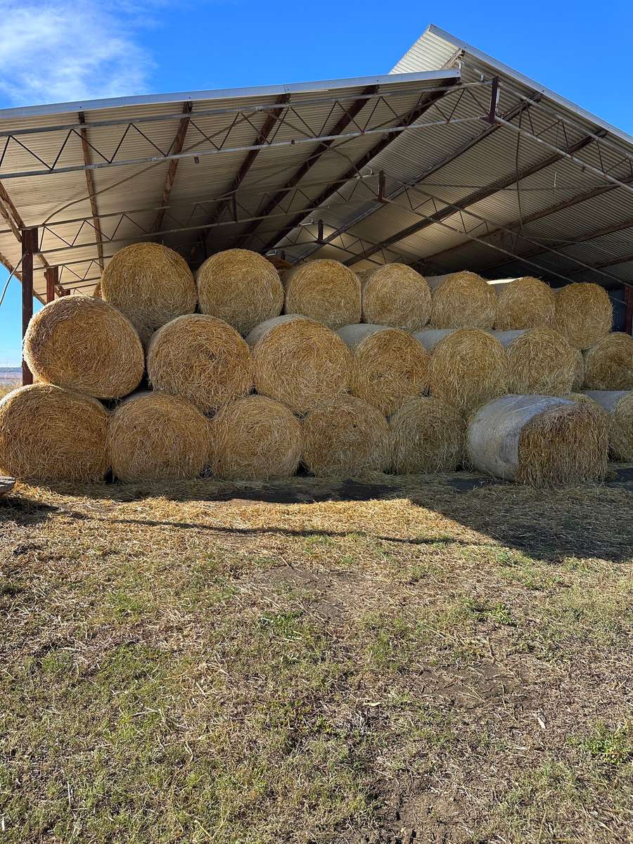 Batch 4990788000219116001 Image