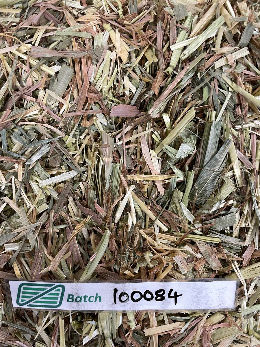 Batch 4990788000220618017 Image