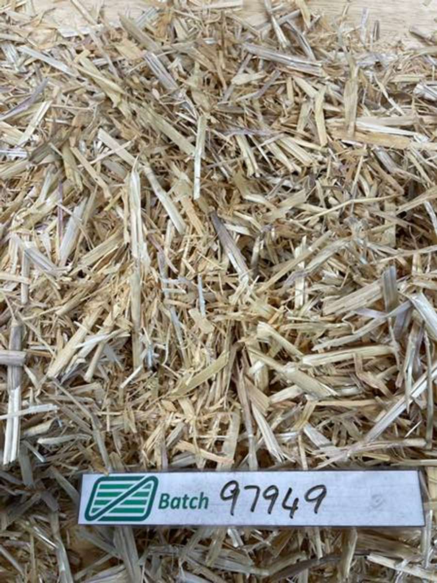 Batch 4990788000174541009 Image