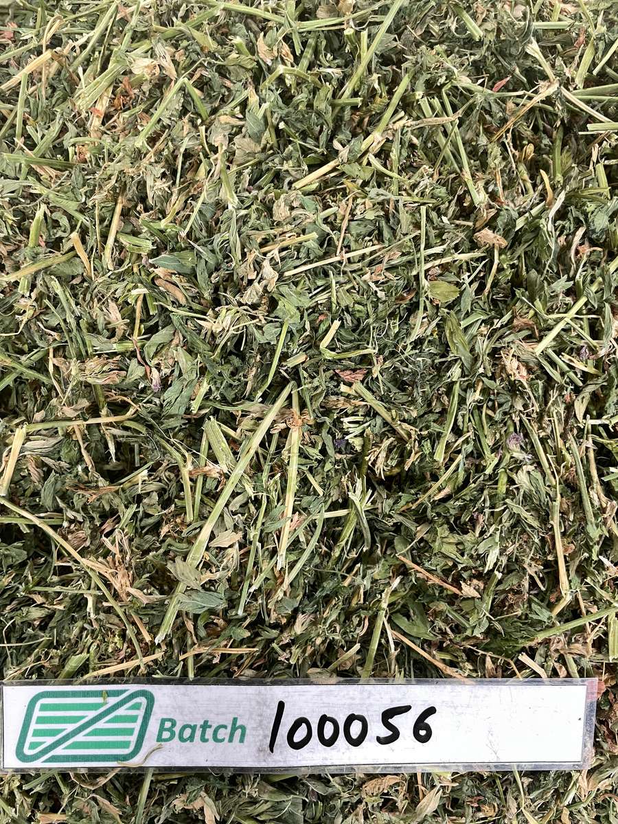 Batch 4990788000219817001 Image