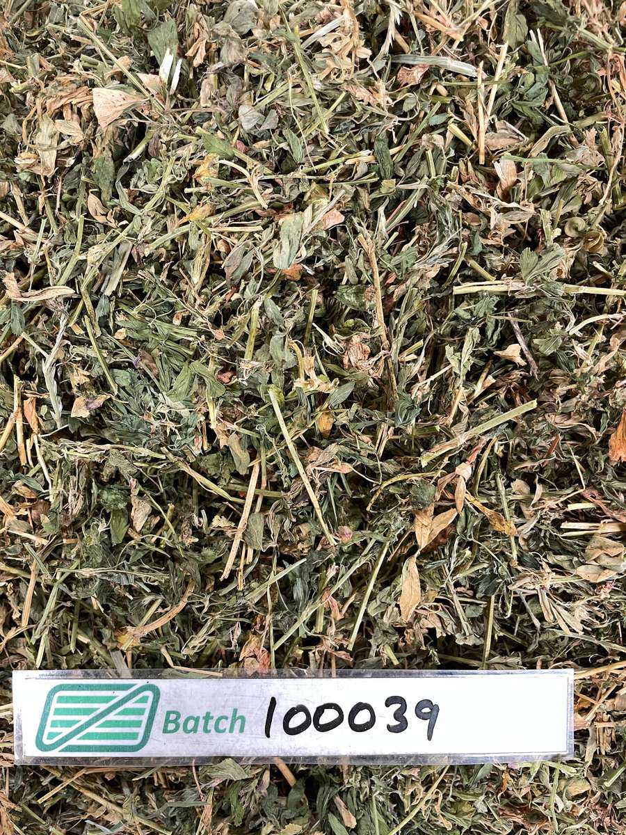 Batch 4990788000217960001 Image