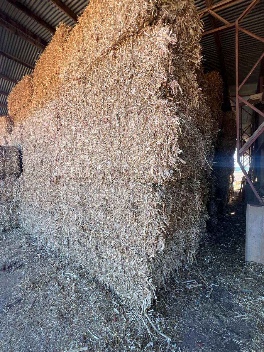 Batch 4990788000217639001 Image