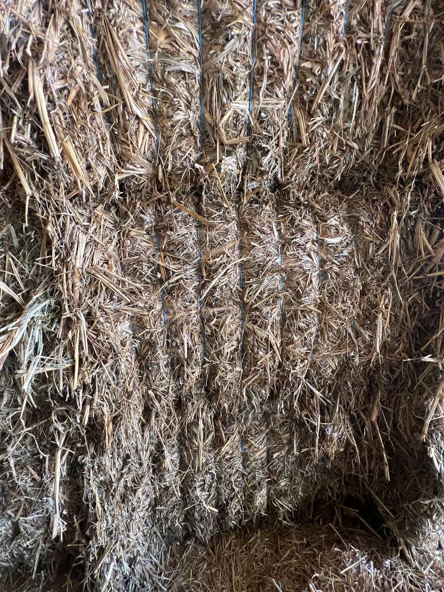 Batch 4990788000220026033 Image